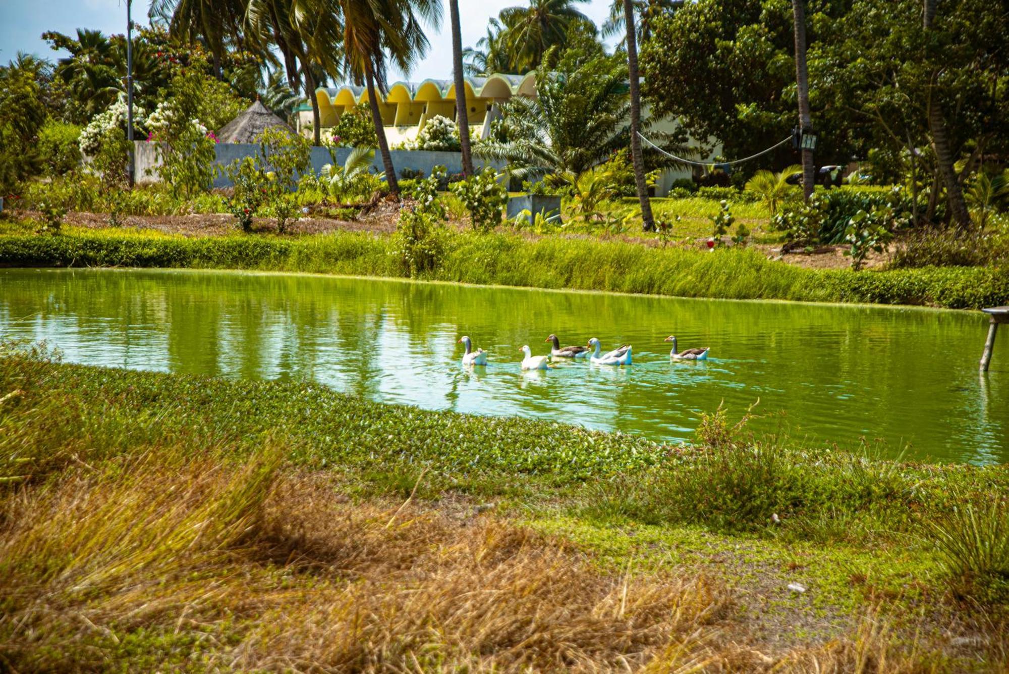 Hotel Sarakawa Lome Exterior photo